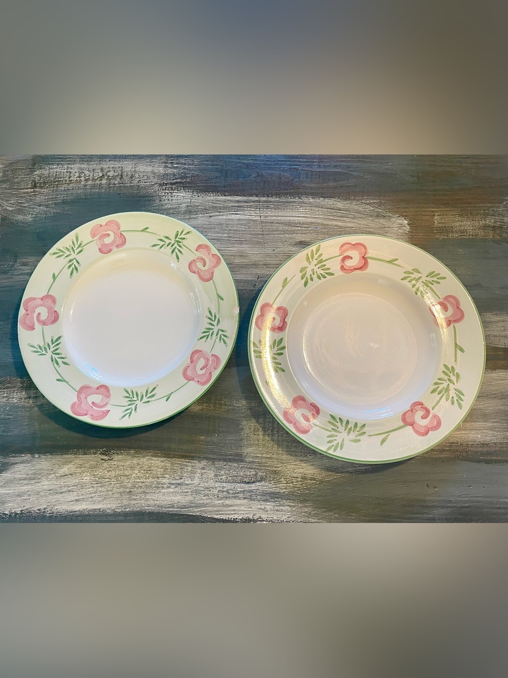 Bella Ceramica “Pastis” Dinner Plates – Set of 2 | Hand-Painted Earthenware